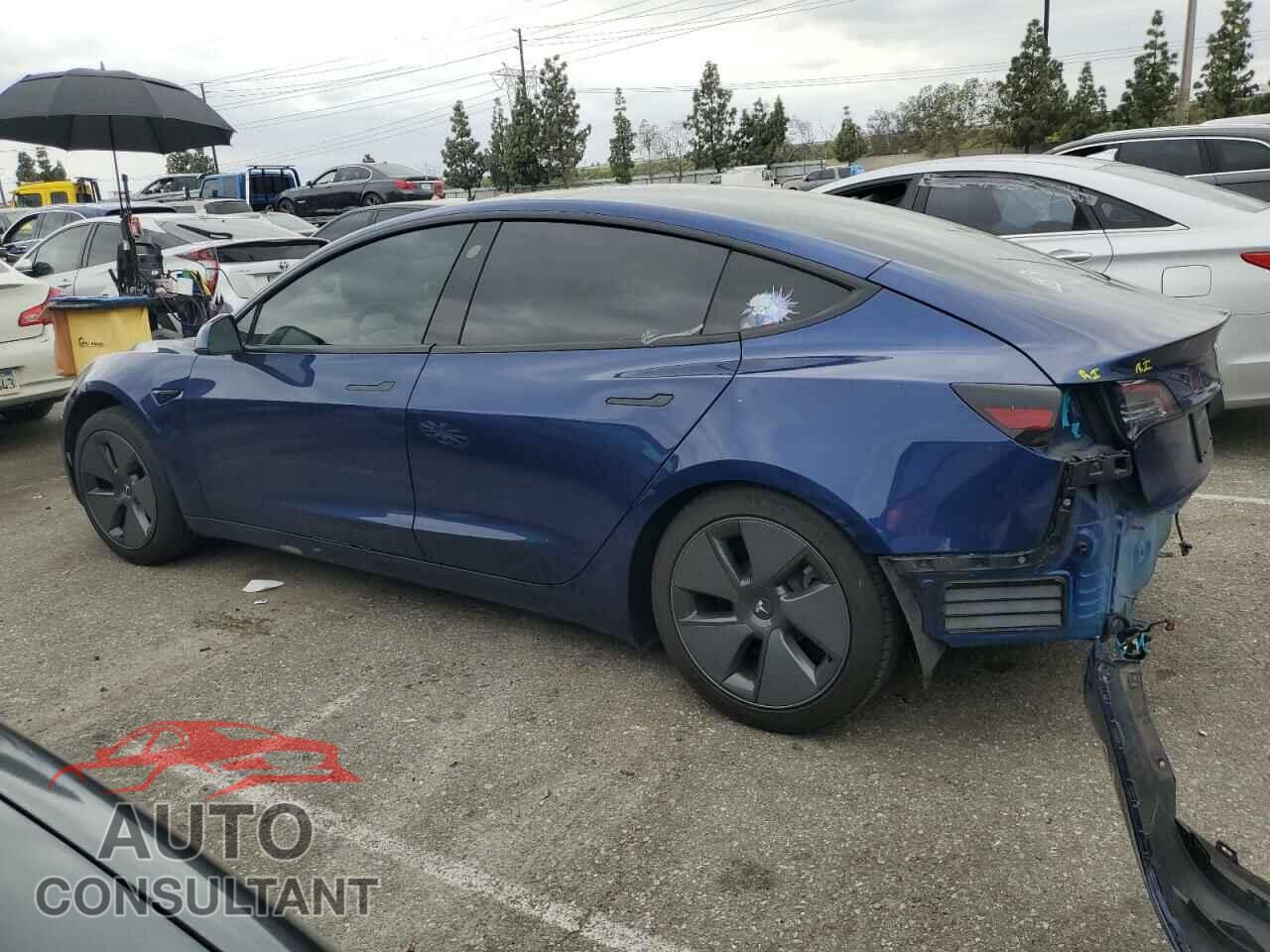 TESLA MODEL 3 2021 - 5YJ3E1EA0MF053097
