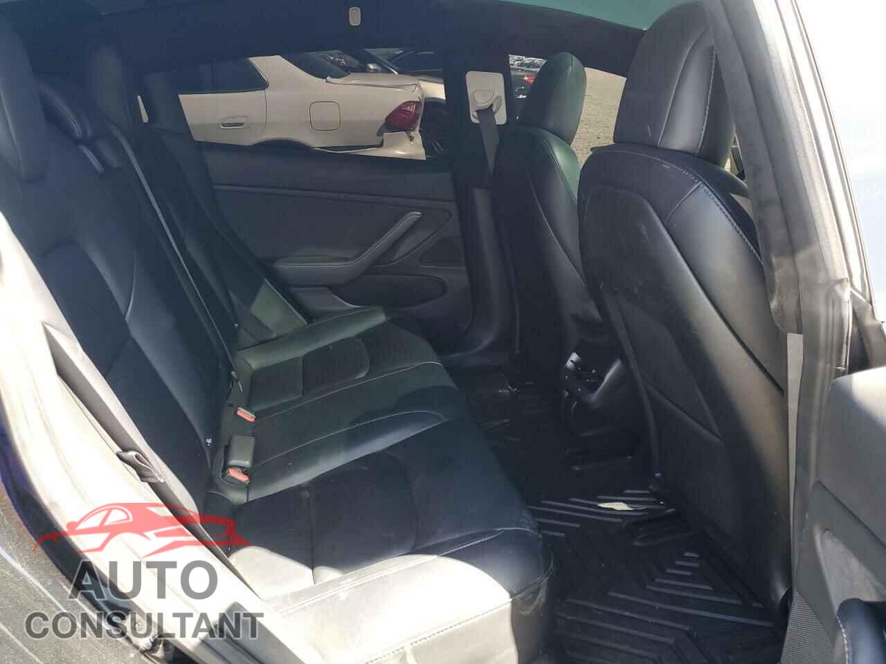 TESLA MODEL 3 2019 - 5YJ3E1EA8KF305904