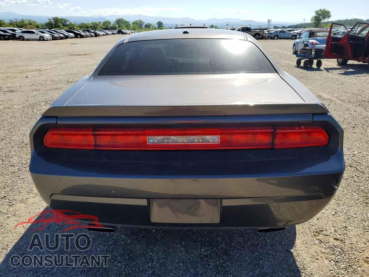DODGE CHALLENGER 2013 - 2C3CDYAG9DH691966