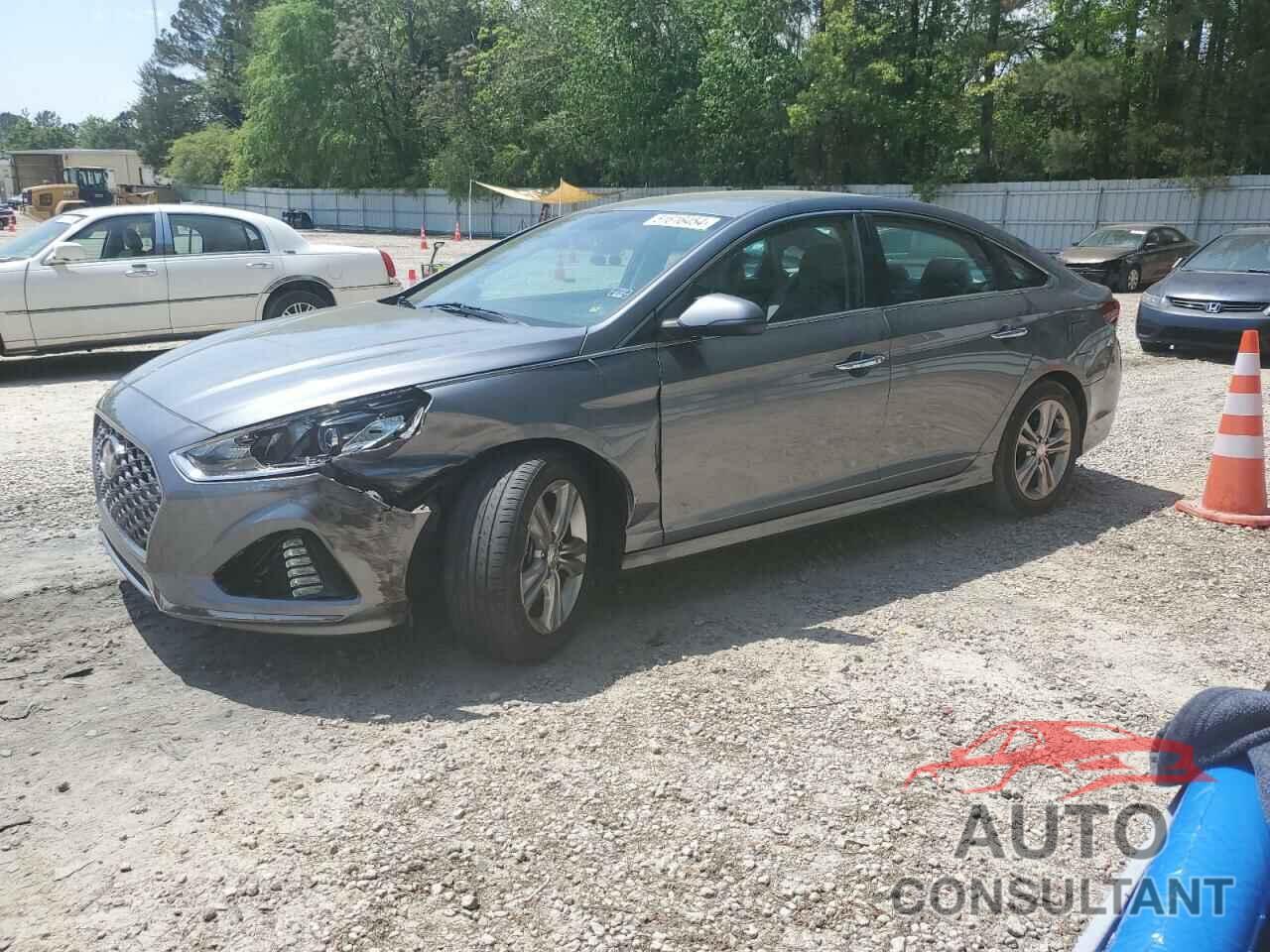 HYUNDAI SONATA 2019 - 5NPE34AF6KH747678