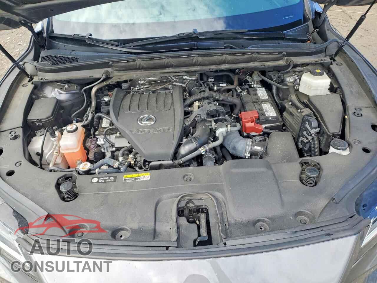 LEXUS RX350 2023 - 2T2BAMBA6PC007131