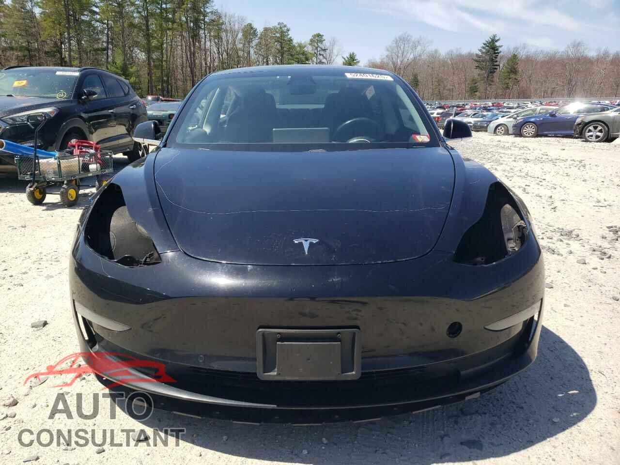 TESLA MODEL 3 2019 - 5YJ3E1EA6KF306887