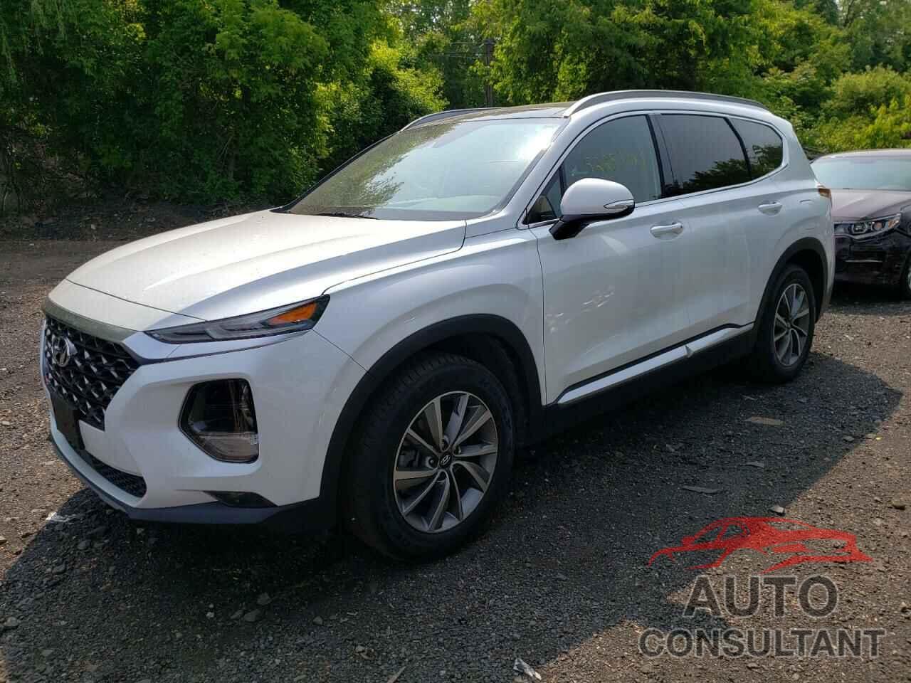 HYUNDAI SANTA FE 2019 - 5NMS5CAD1KH008964