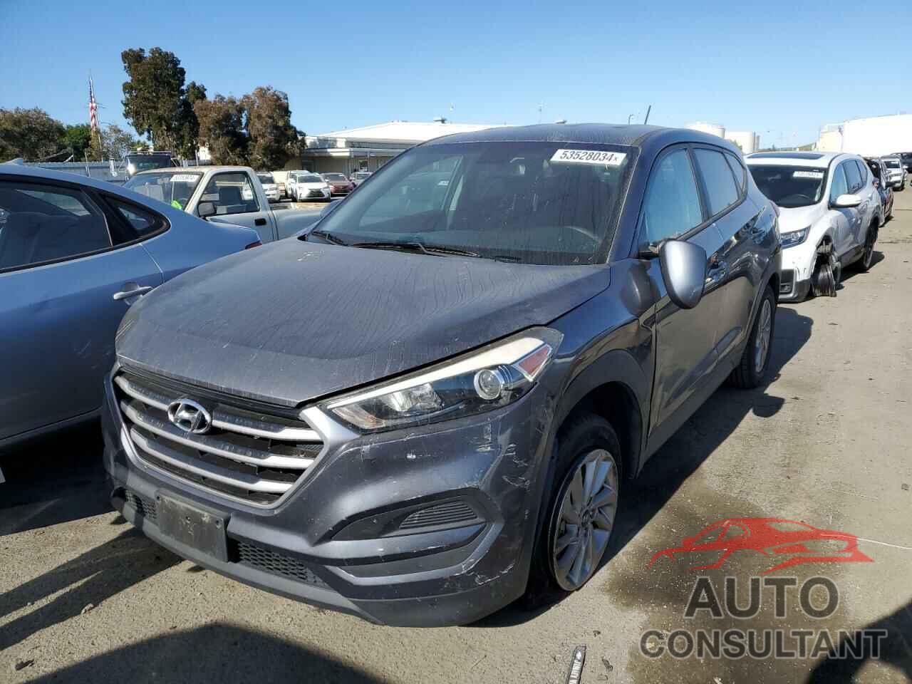 HYUNDAI TUCSON 2017 - KM8J23A45HU485012