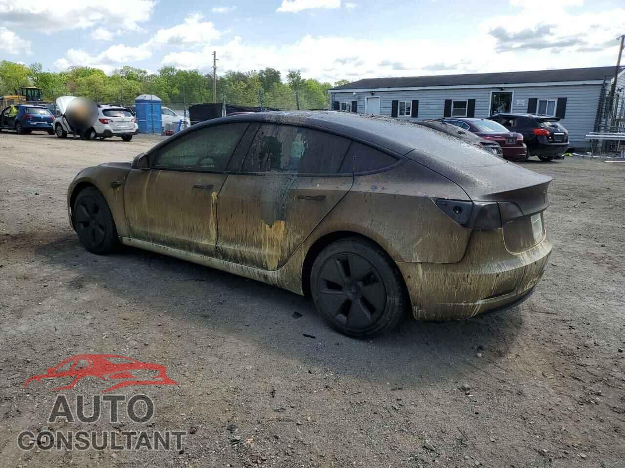 TESLA MODEL 3 2021 - 5YJ3E1EA1MF096234