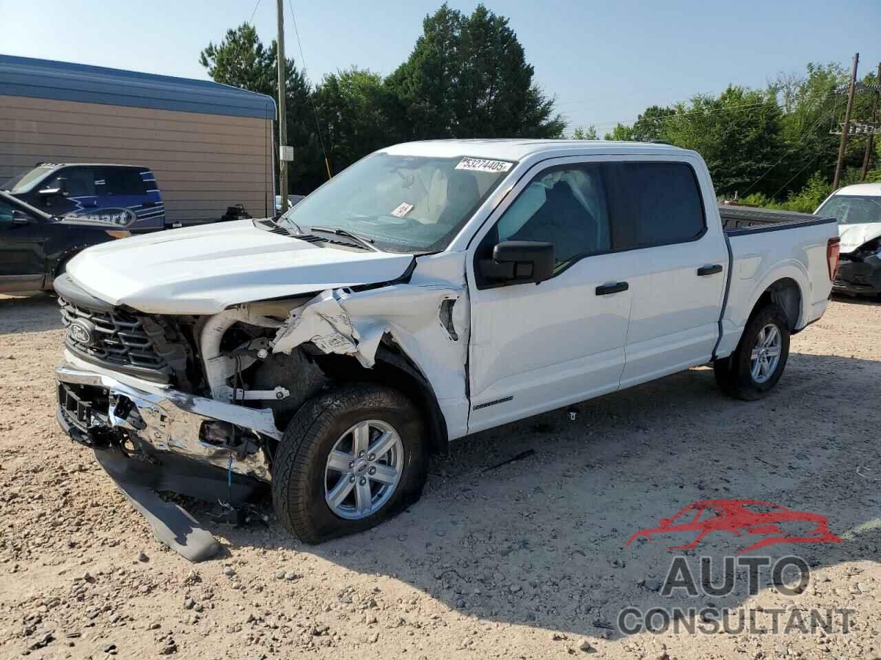 FORD F150 2024 - 1FTFW1FD0RFB99800