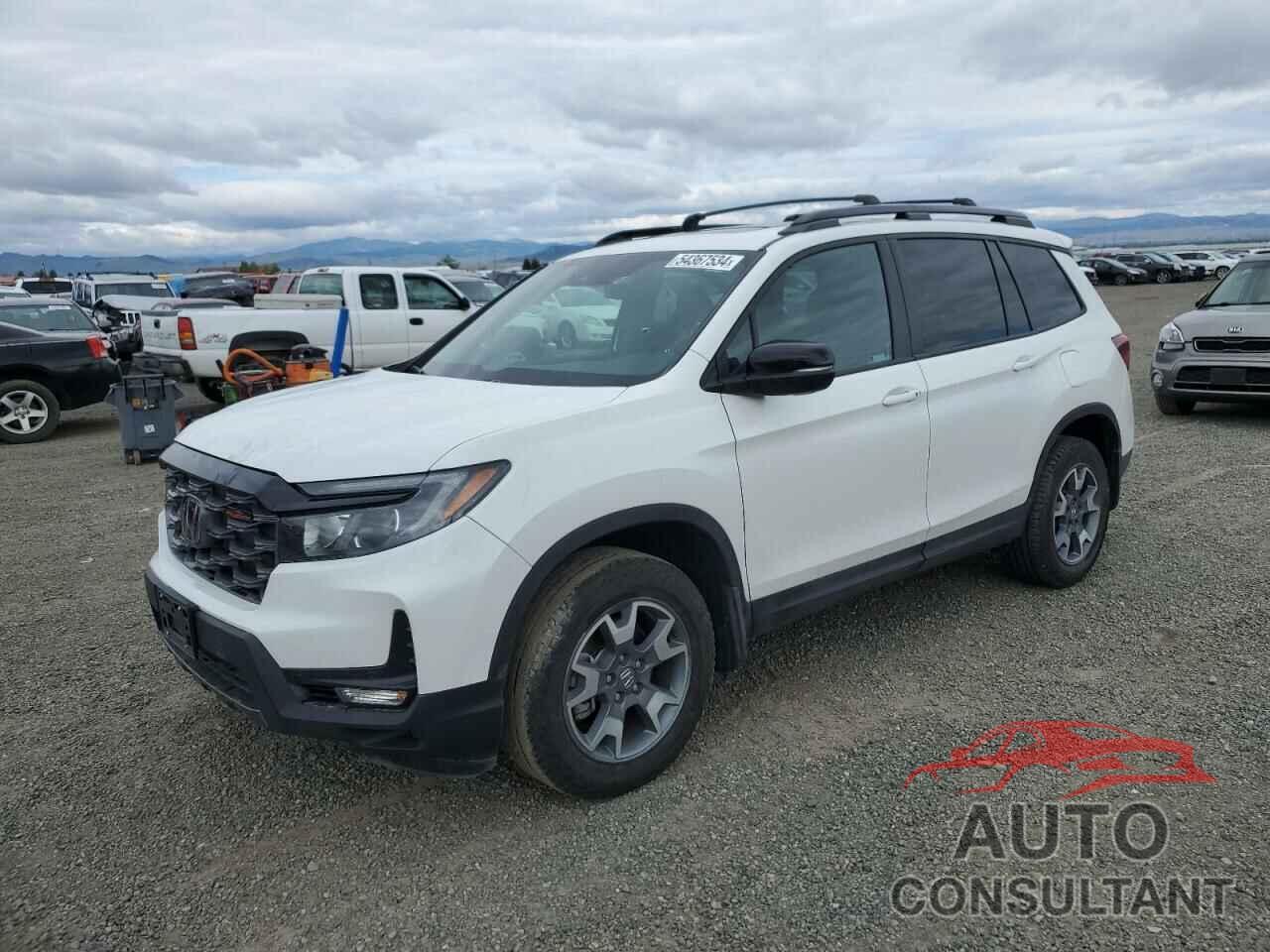 HONDA PASSPORT 2023 - 5FNYF8H62PB004376