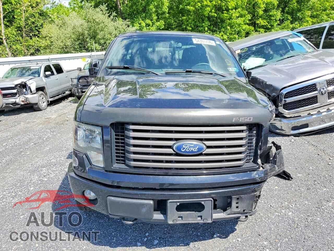 FORD F150 2012 - 1FTFX1EF7CFA52137