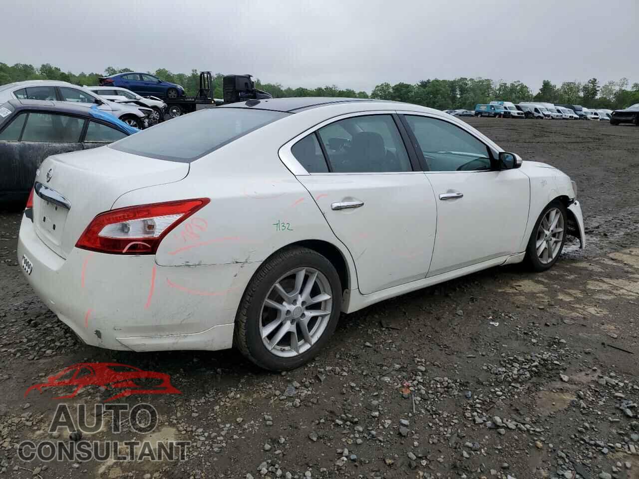 NISSAN MAXIMA 2011 - 1N4AA5AP1BC859745