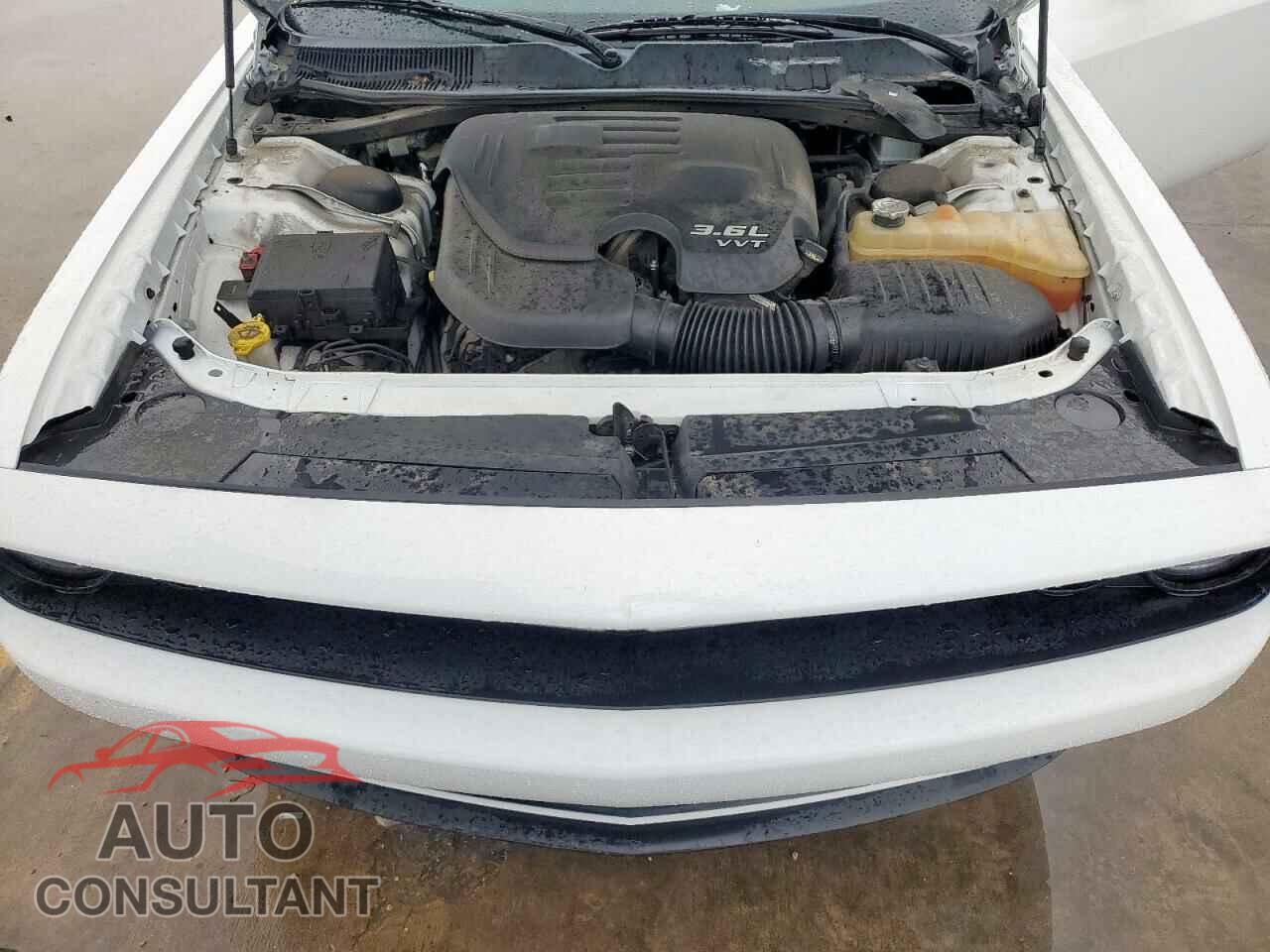 DODGE CHALLENGER 2019 - 2C3CDZAG3KH563497