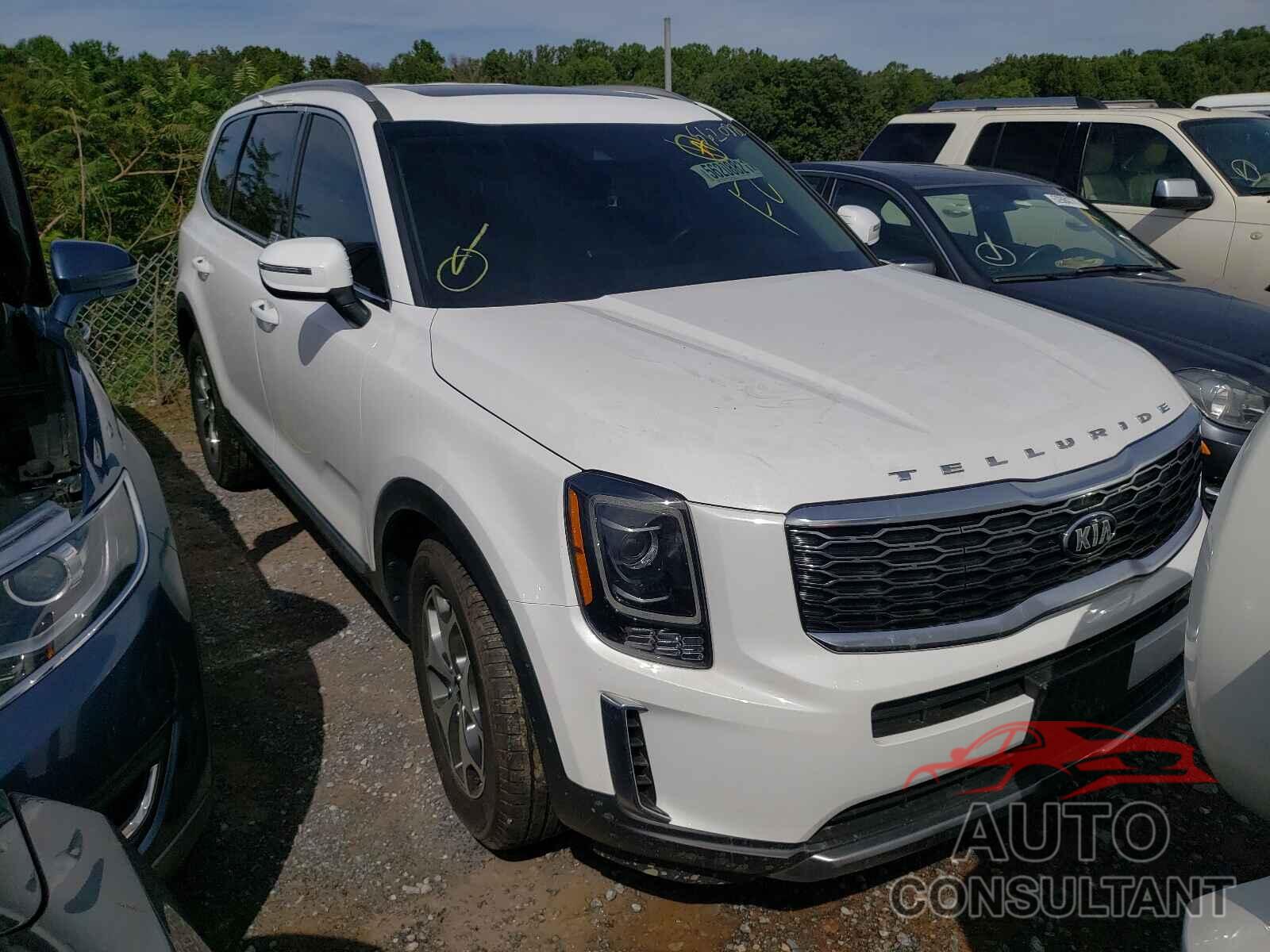 KIA TELLURIDE 2021 - 5XYP3DHC1MG168404