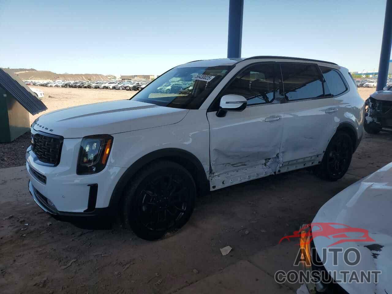 KIA TELLURIDE 2021 - 5XYP5DHC7MG142707