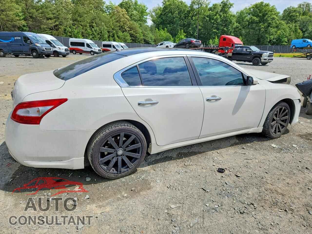 NISSAN MAXIMA 2011 - 1N4AA5AP3BC846589