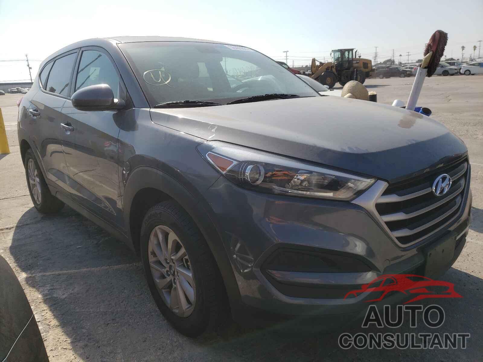 HYUNDAI TUCSON 2017 - KM8J23A43HU343936