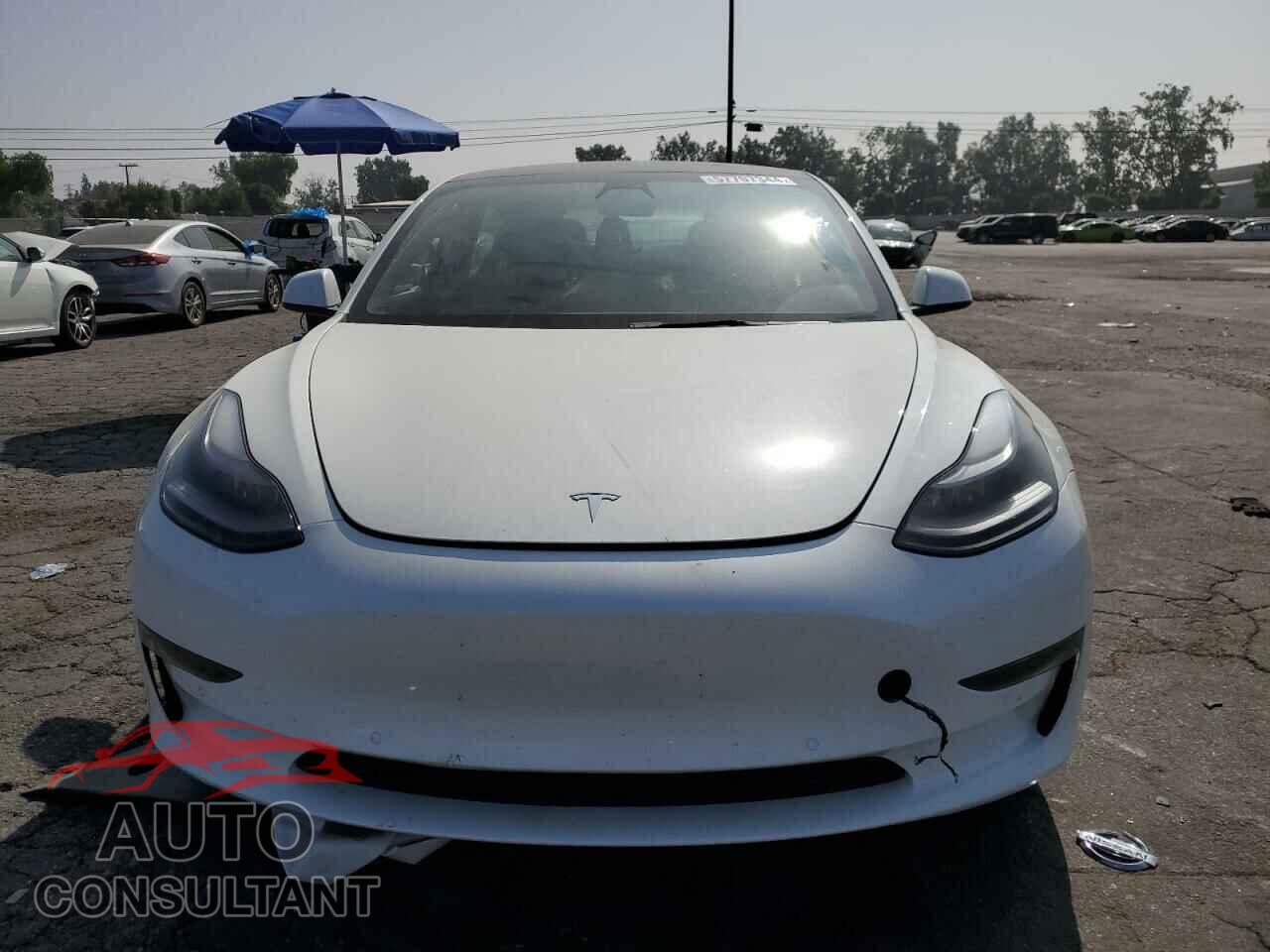 TESLA MODEL 3 2021 - 5YJ3E1EA6MF095712