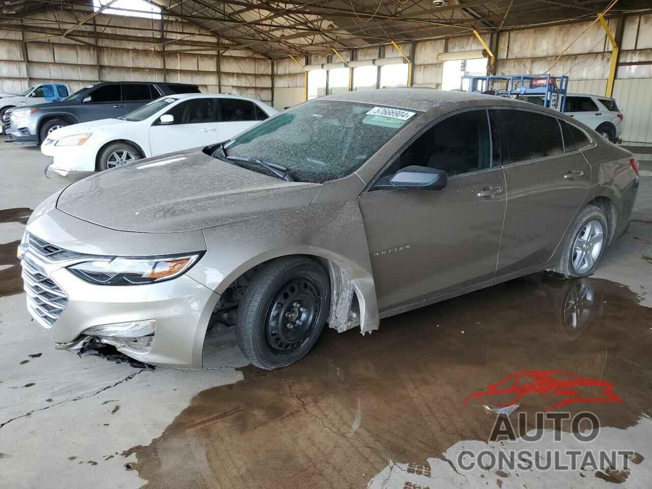 CHEVROLET MALIBU 2023 - 1G1ZB5ST0PF155251