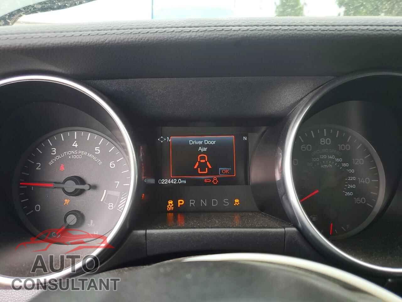 FORD MUSTANG 2019 - 1FA6P8CF7K5146573