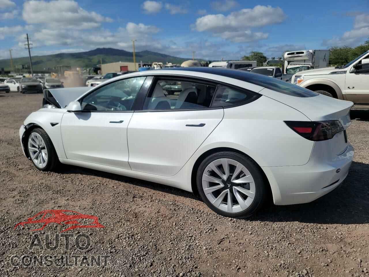 TESLA MODEL 3 2021 - 5YJ3E1EA7MF908796