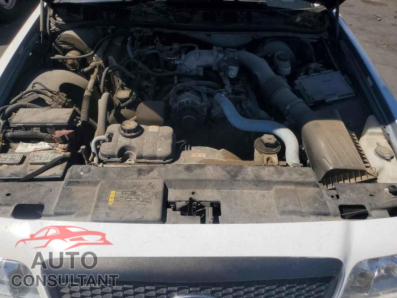 FORD CROWN VIC 2011 - 2FABP7BV2BX173163