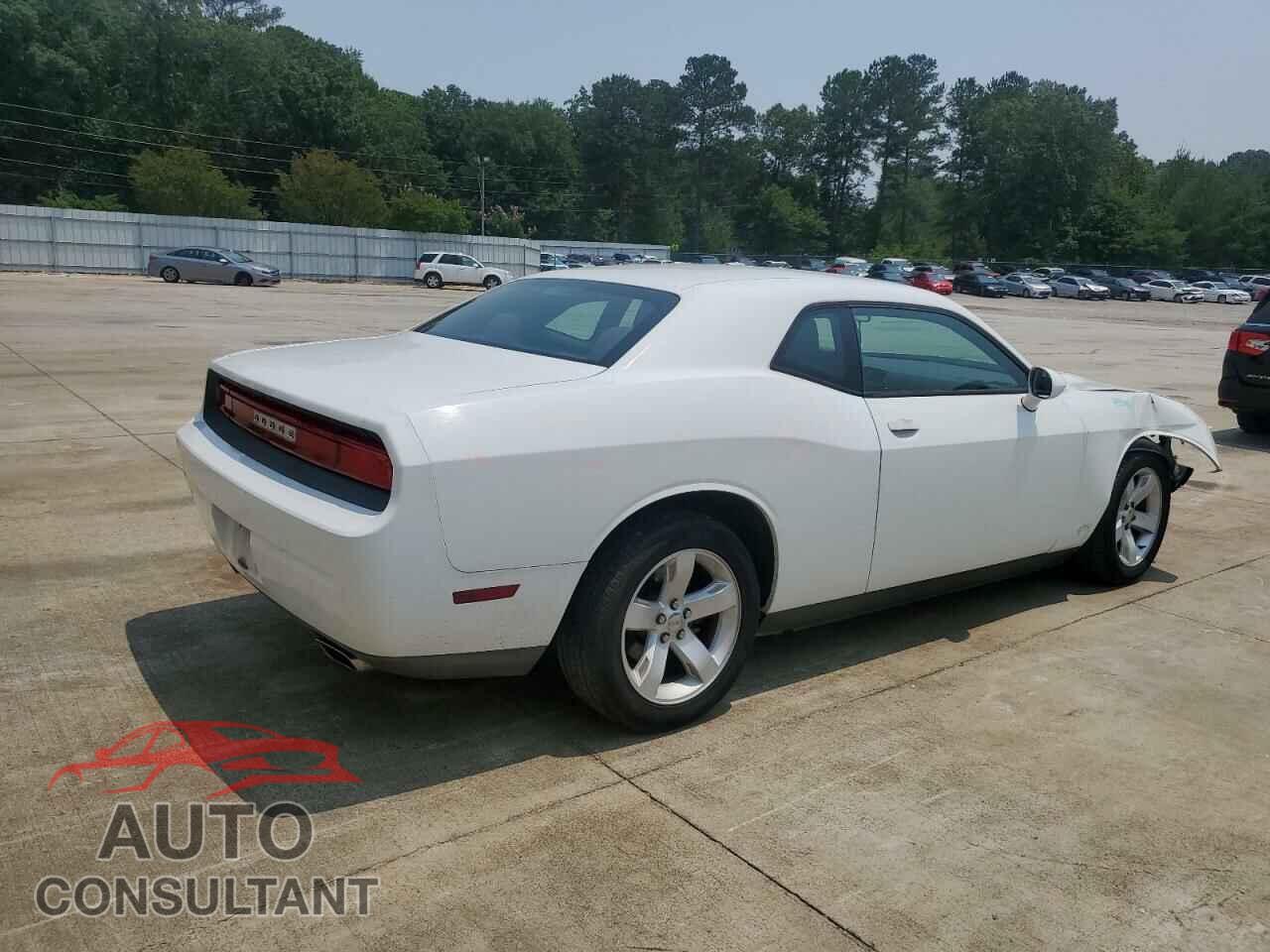 DODGE CHALLENGER 2014 - 2C3CDYAG0EH289898