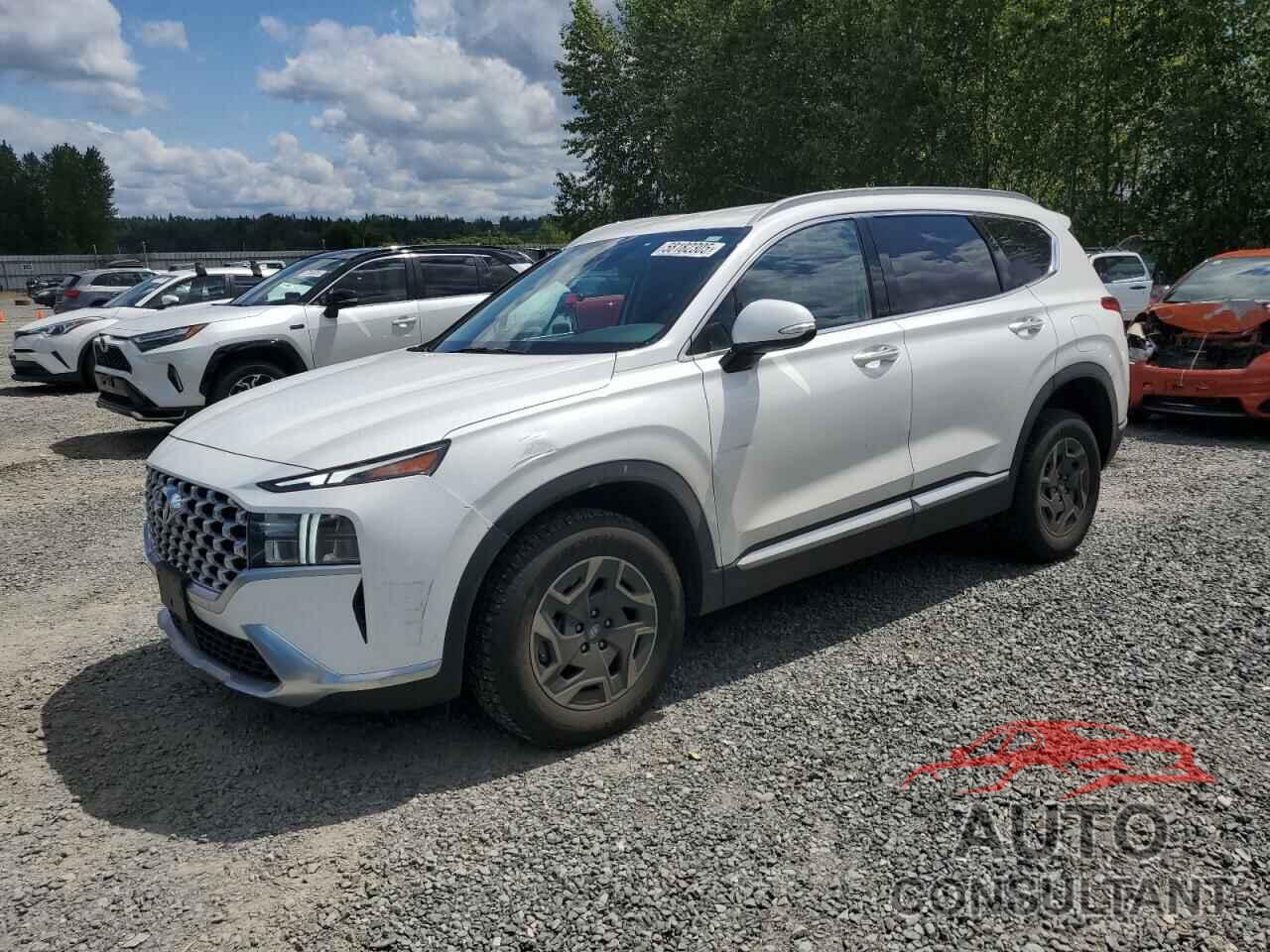 HYUNDAI SANTA FE 2022 - KM8S2DA18NU054840