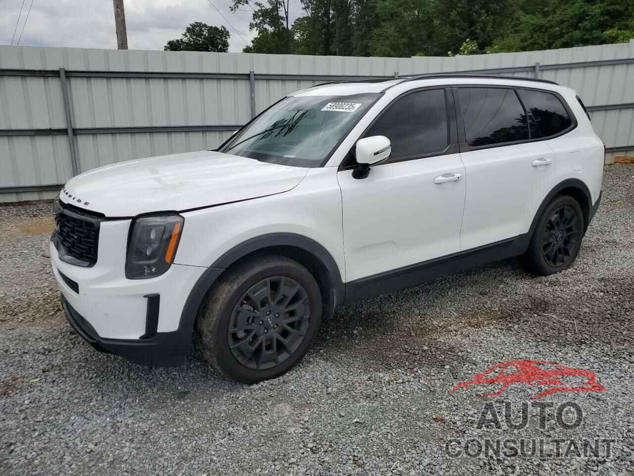 KIA TELLURIDE 2022 - 5XYP5DHCXNG323382