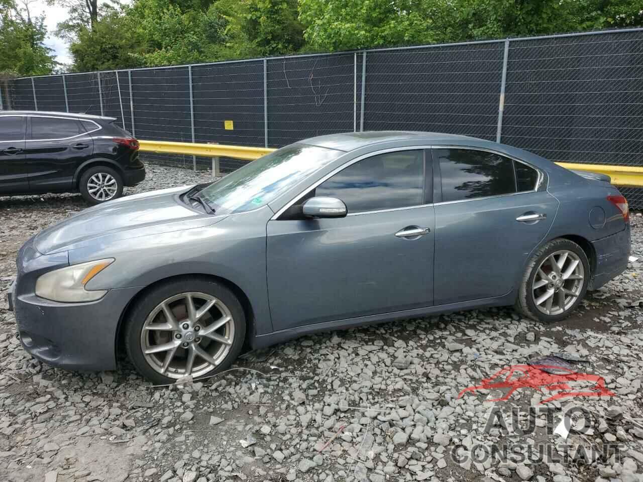NISSAN MAXIMA 2010 - 1N4AA5AP6AC817117