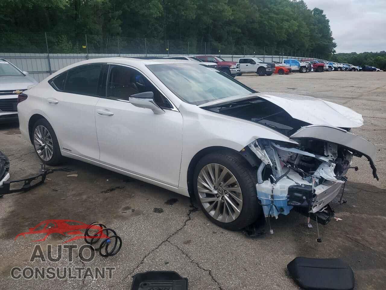 LEXUS ES300 2021 - 58AFA1C19MU005105