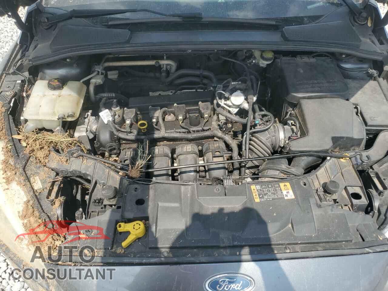 FORD FOCUS 2016 - 1FADP3E26GL355438