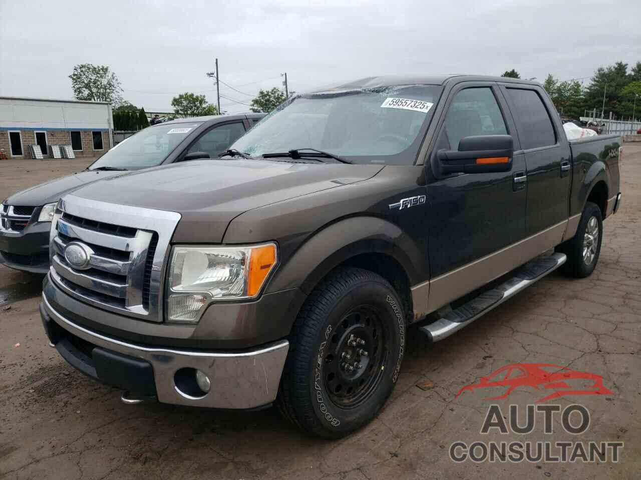 FORD F-150 2009 - 1FTRW14889KC35761