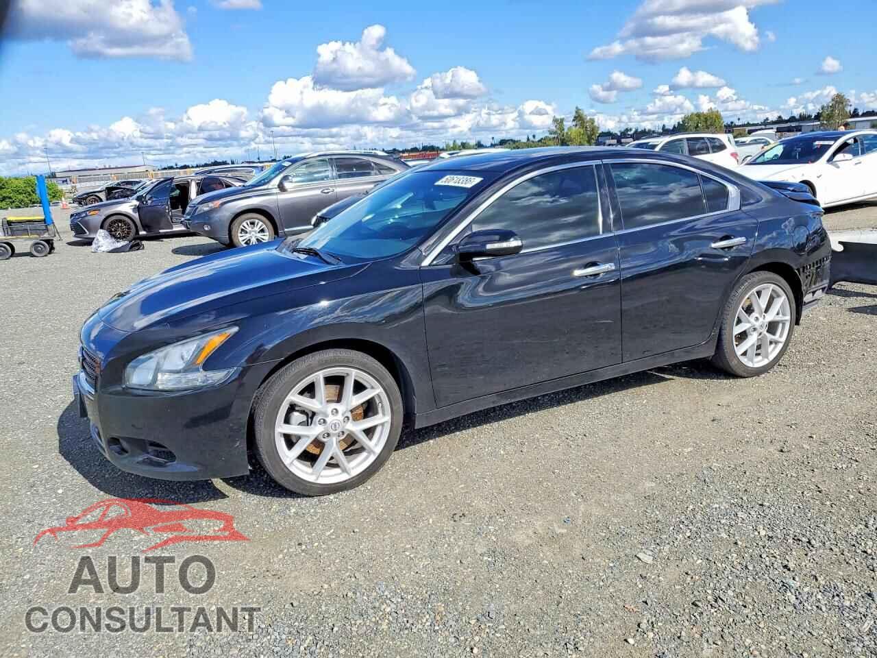 NISSAN MAXIMA 2011 - 1N4AA5AP8BC839251