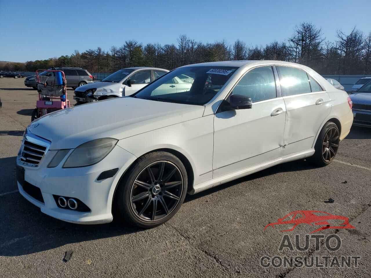 MERCEDES-BENZ E-CLASS 2010 - WDDHF8HB1AA115097
