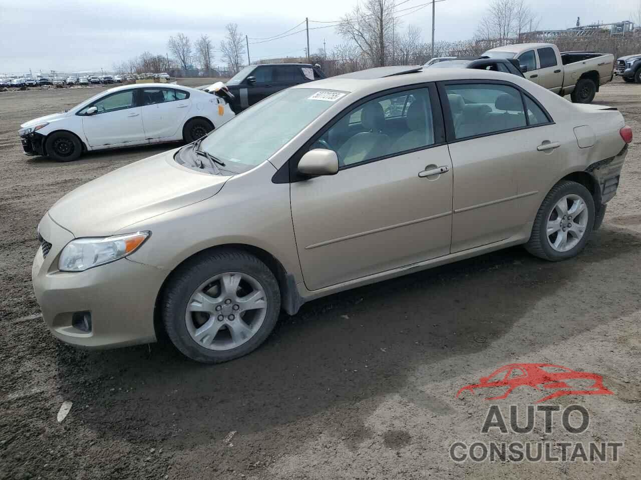 TOYOTA COROLLA 2009 - 2T1BU40EX9C082807