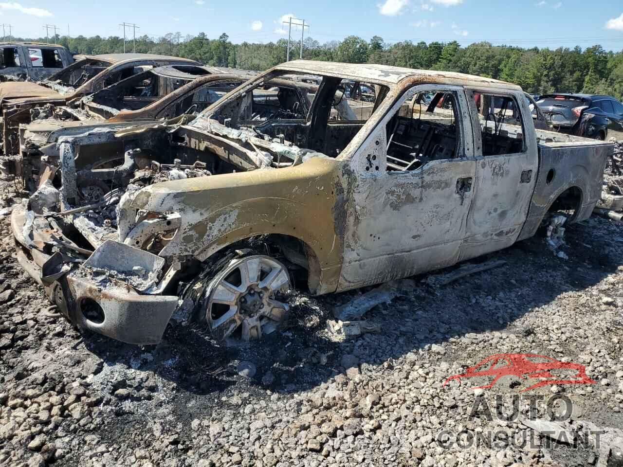 FORD F-150 2010 - 1FTFW1EVXAKE41367