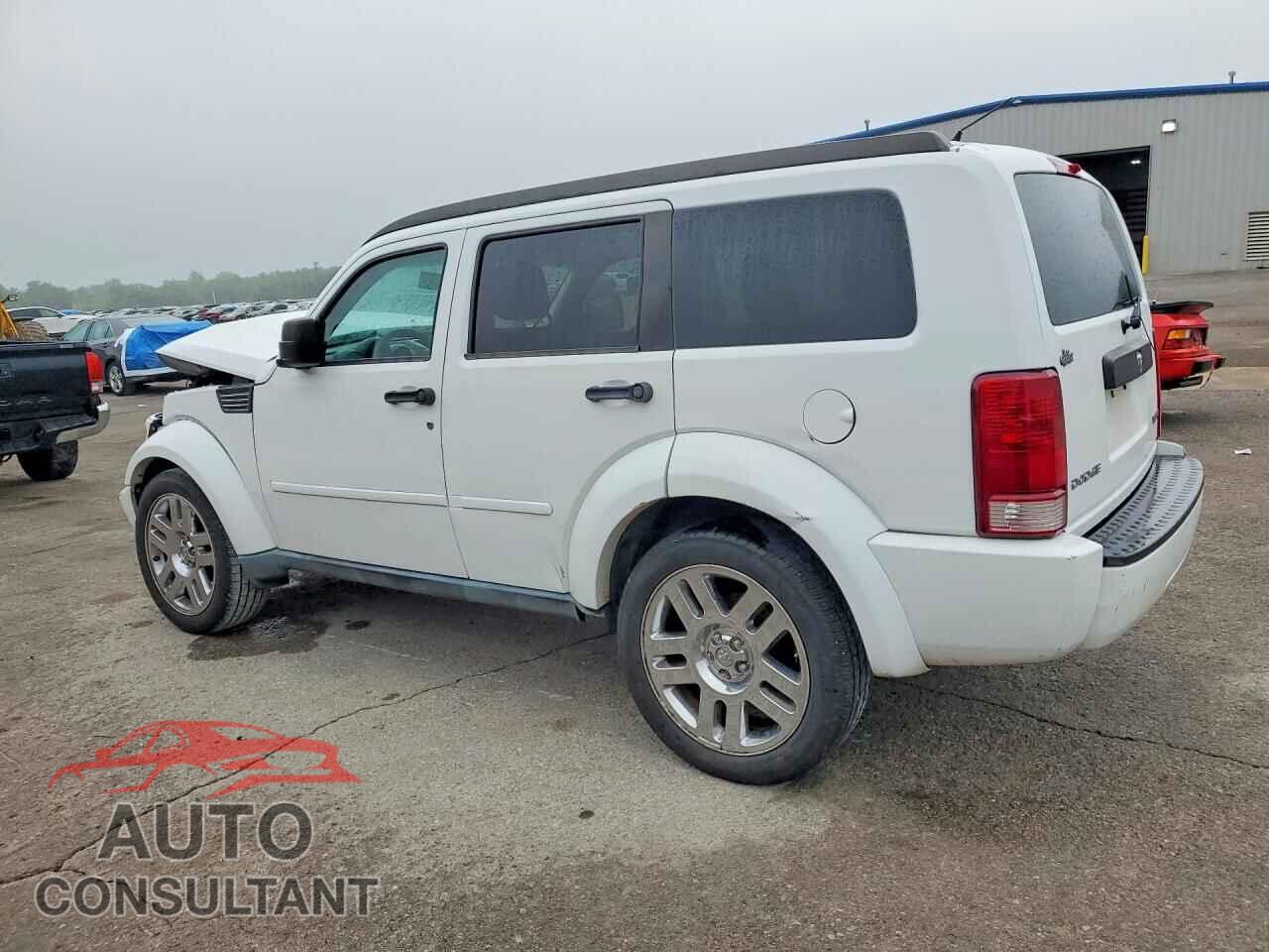 DODGE NITRO 2011 - 1D4PT4GK1BW602834