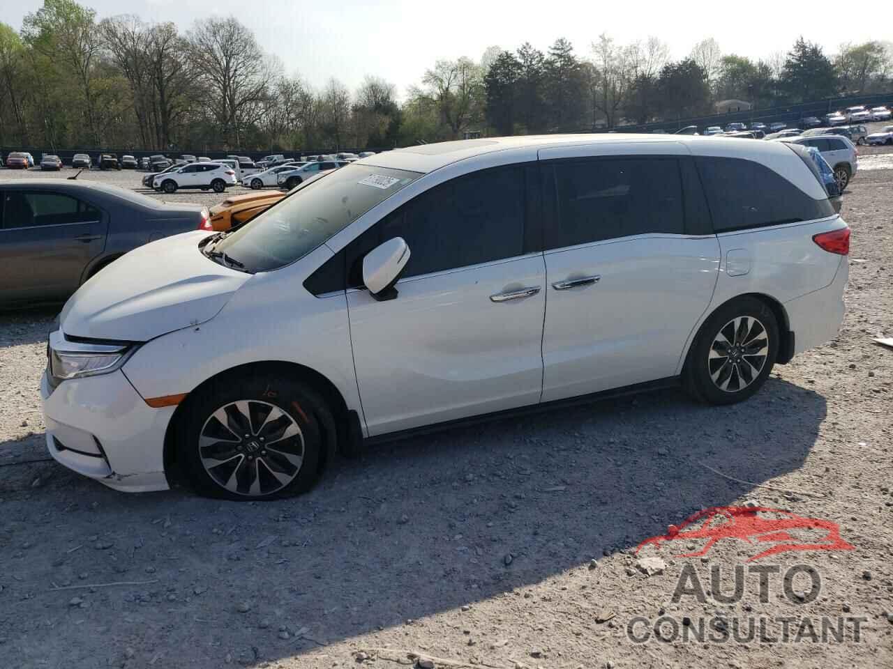 HONDA All Models 2022 - 5FNRL6H77NB053337