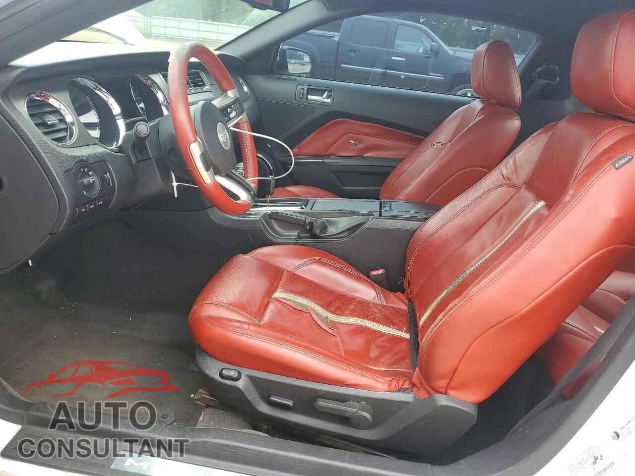 FORD MUSTANG 2011 - 1ZVBP8CF5B5103940