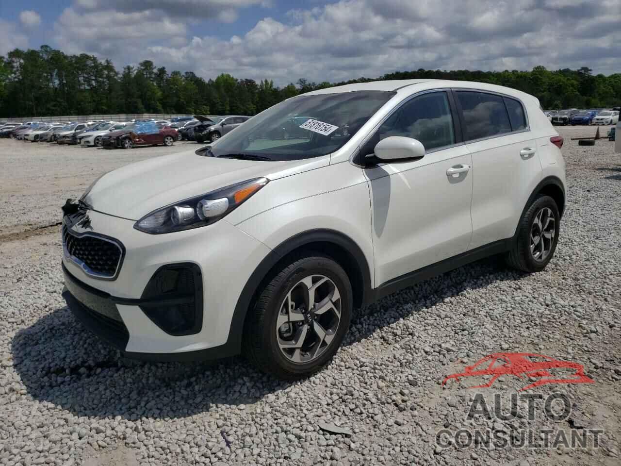 KIA SPORTAGE 2022 - KNDPM3AC1N7980317