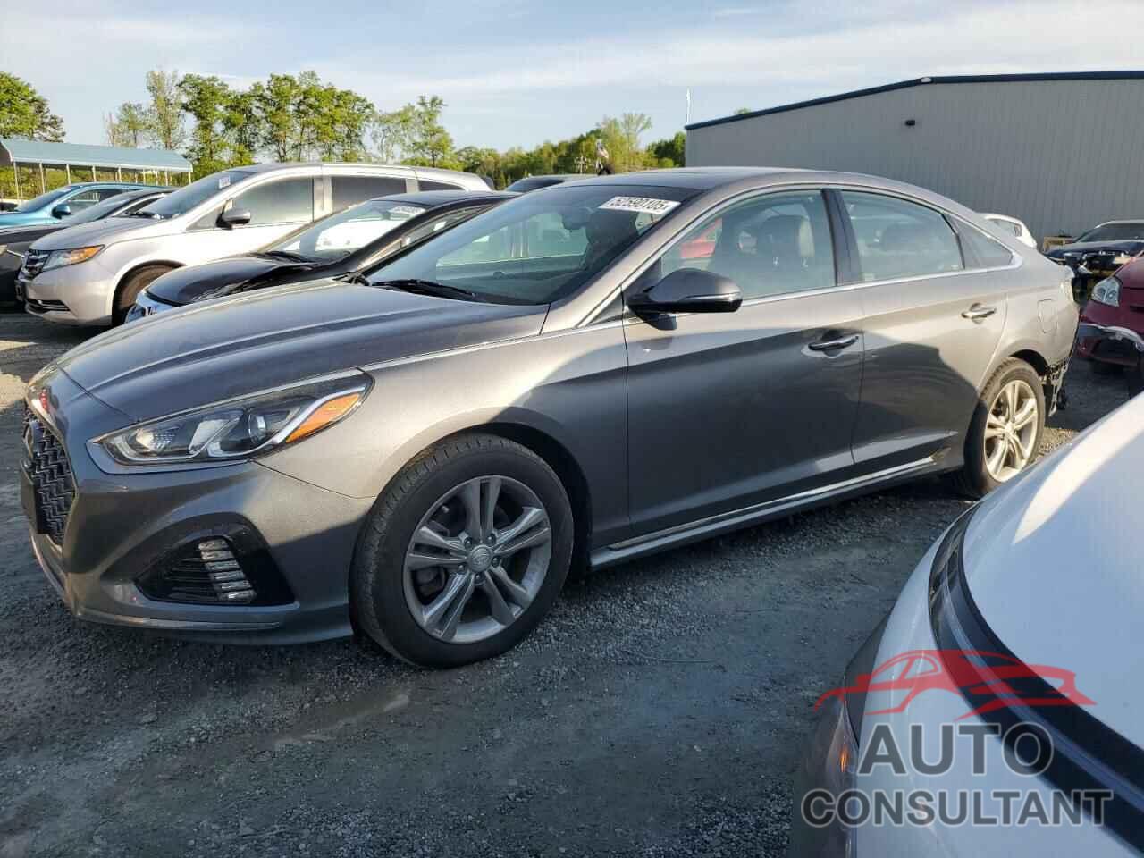 HYUNDAI SONATA 2018 - 5NPE34AF4JH647318