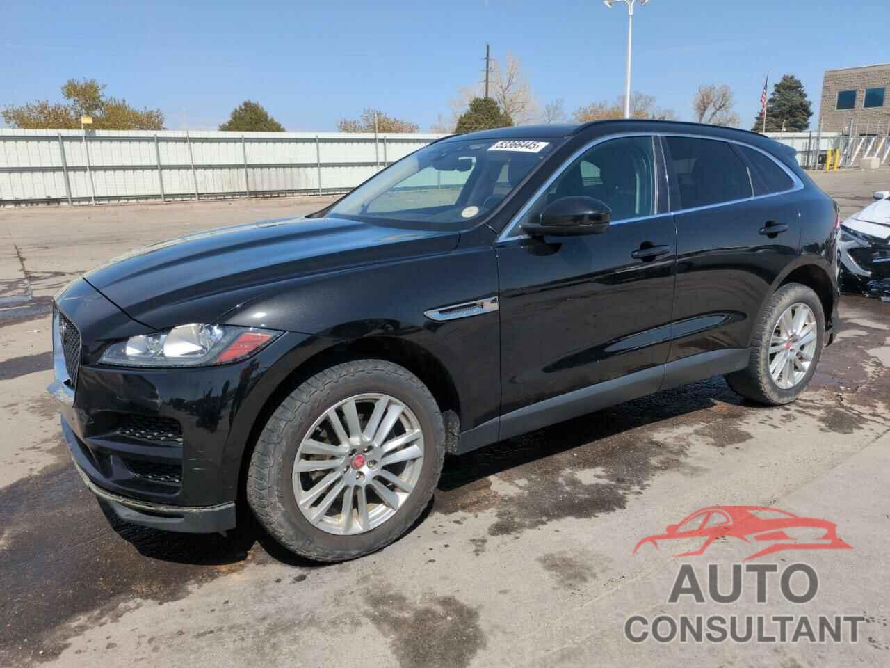 JAGUAR F-PACE 2019 - SADCK2FX8KA397627