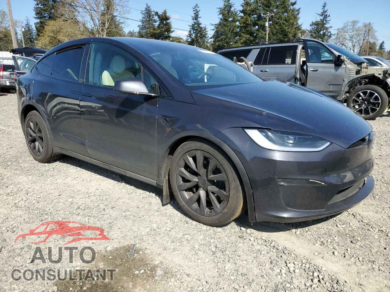 TESLA MODEL X 2023 - 7SAXCAE53PF422729