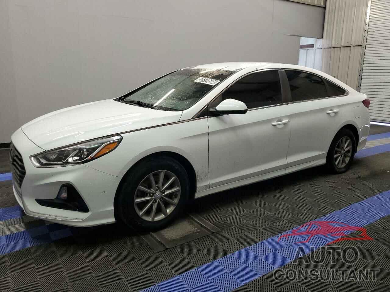 HYUNDAI SONATA 2019 - 5NPE24AF7KH770809