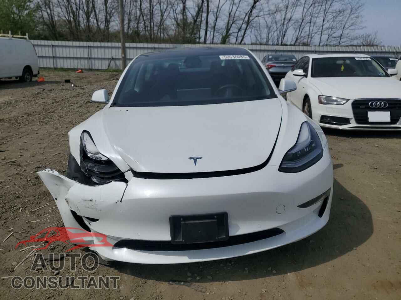 TESLA MODEL 3 2019 - 5YJ3E1EB8KF493929