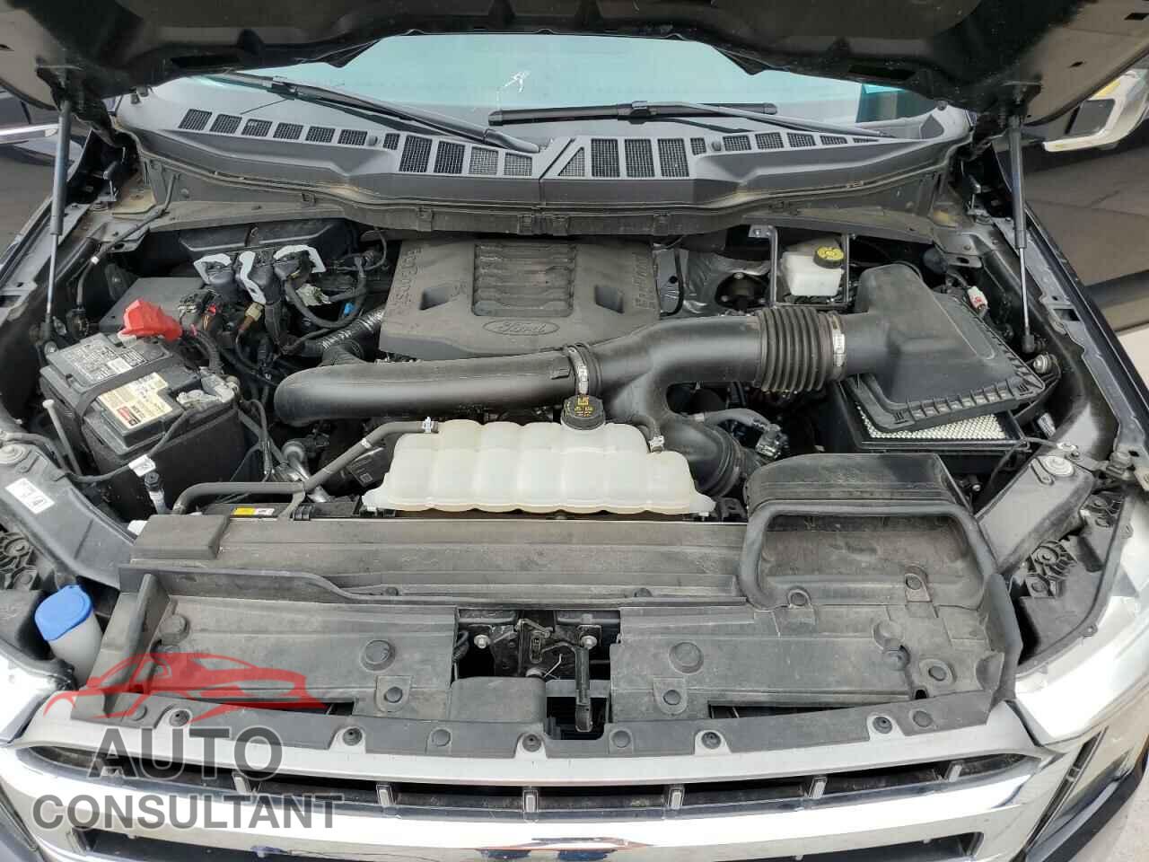 FORD F-150 2021 - 1FTFW1E86MFA50644