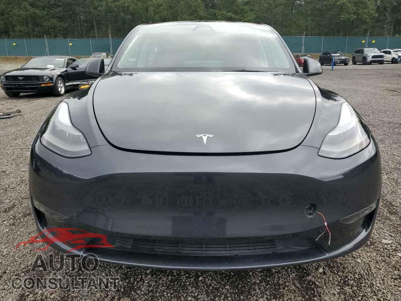 TESLA MODEL Y 2024 - 7SAYGDEE3RF072919