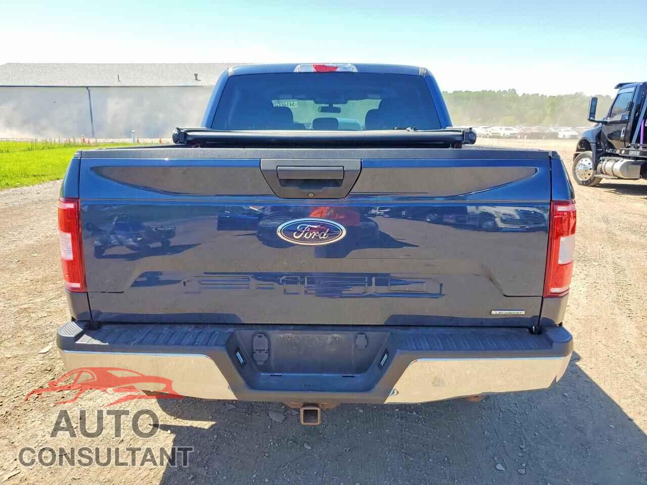 FORD F150 2020 - 1FTEW1EP0LKE21175
