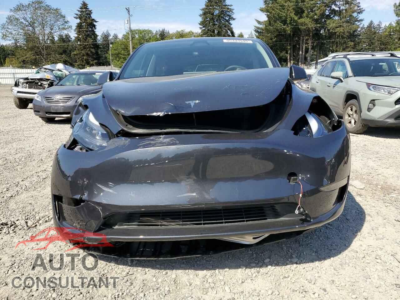 TESLA MODEL Y 2024 - 7SAYGDED1RF100854