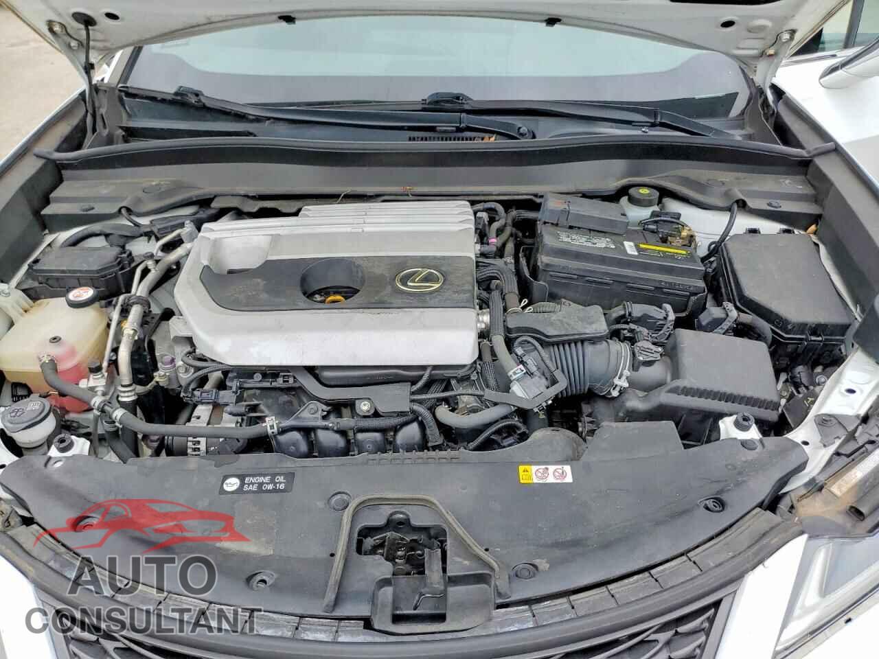 LEXUS ALL OTHER 2019 - JTHY3JBH6K2010119