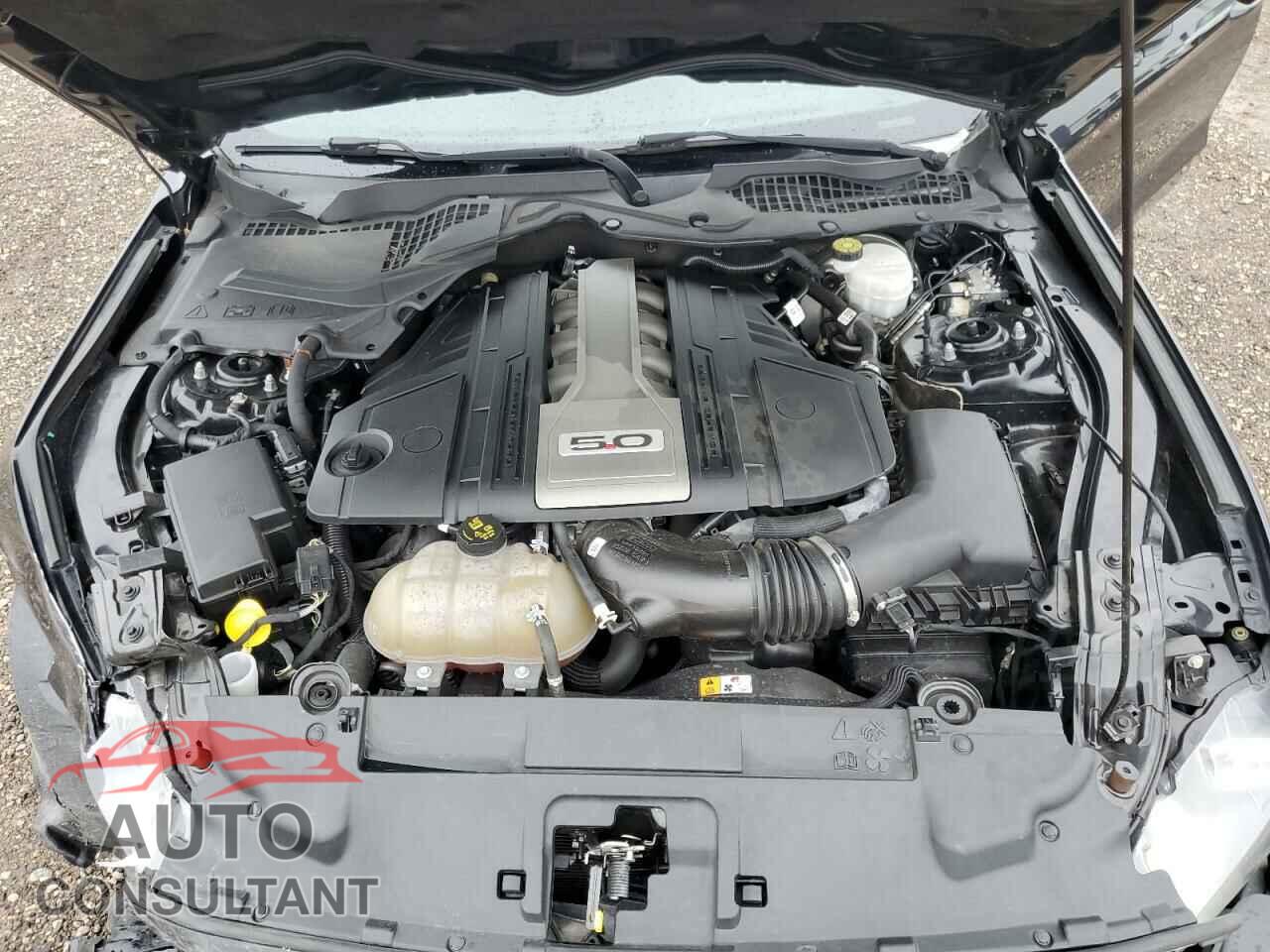 FORD MUSTANG 2018 - 1FA6P8CF2J5146303