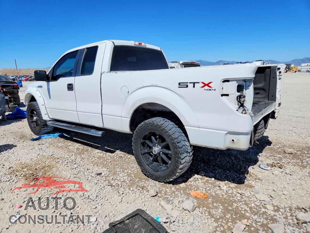 FORD F150 2013 - 1FTFX1EF2DFD83287
